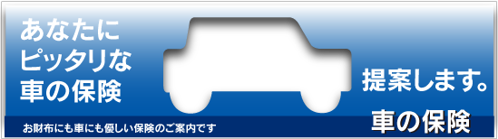 車の保険.png